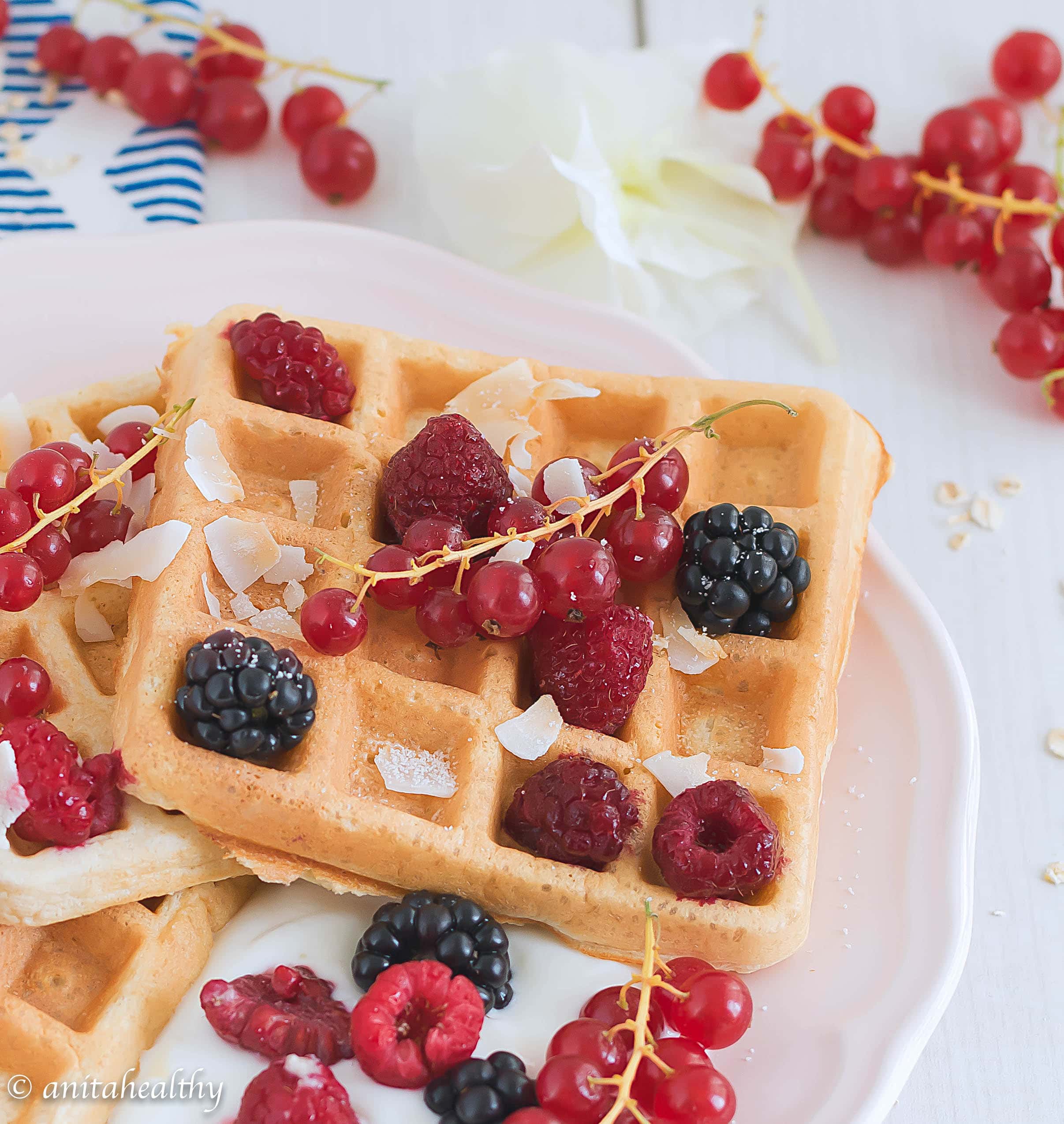 Waffles de aveia | Anita Healthy