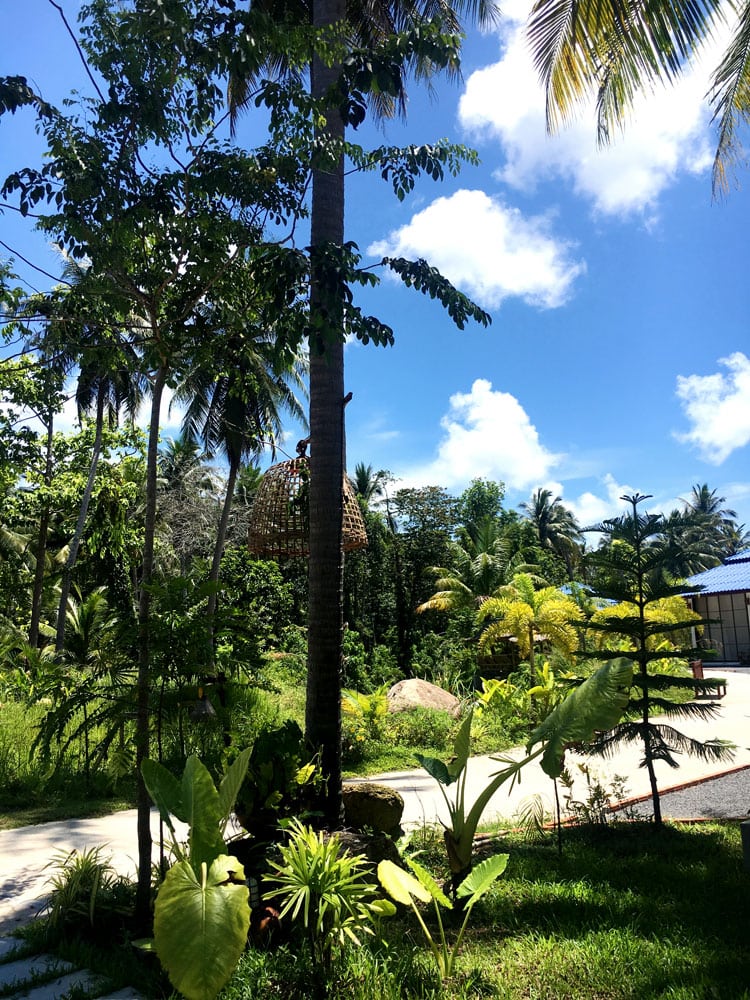 Retiro-Yoga-Tailândia